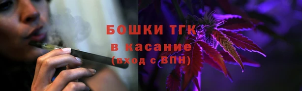 шишки Нязепетровск